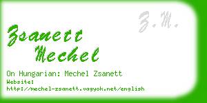 zsanett mechel business card